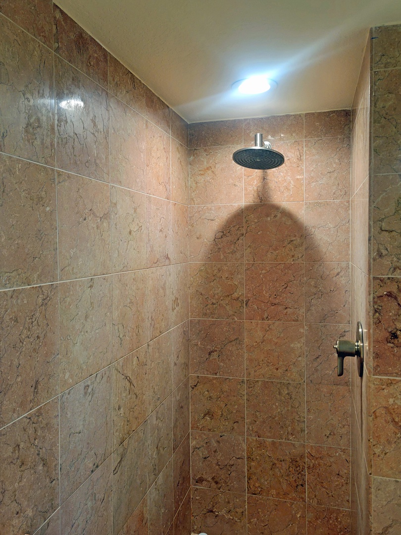 Primary Bathroom Walk-in Shower