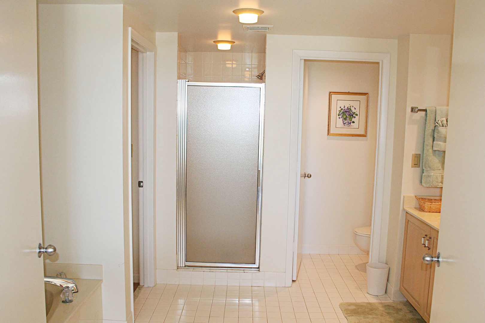 Ensuite Primary Bathroom shower