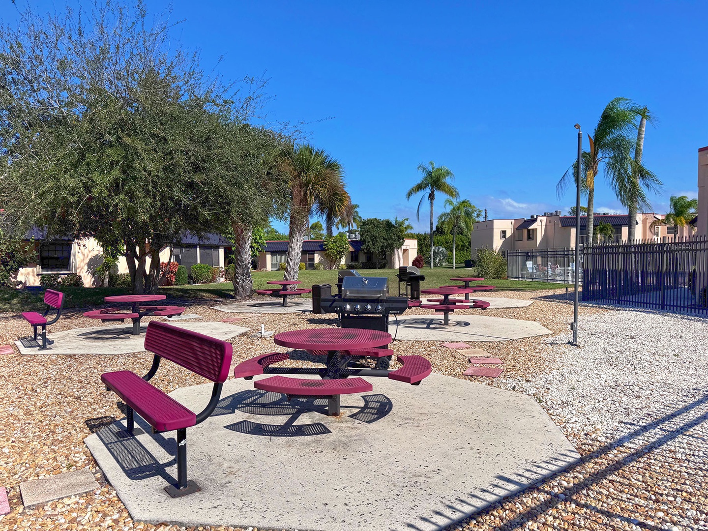 Outdoor BBQ area with picnic tables and grills set among palm trees under Florida's bright blue sky.