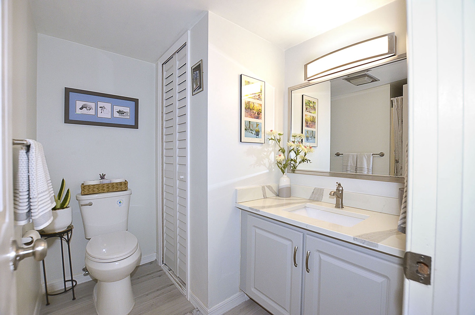 Guest Half Bath