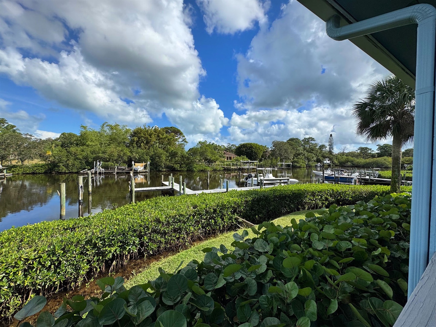 Deck View