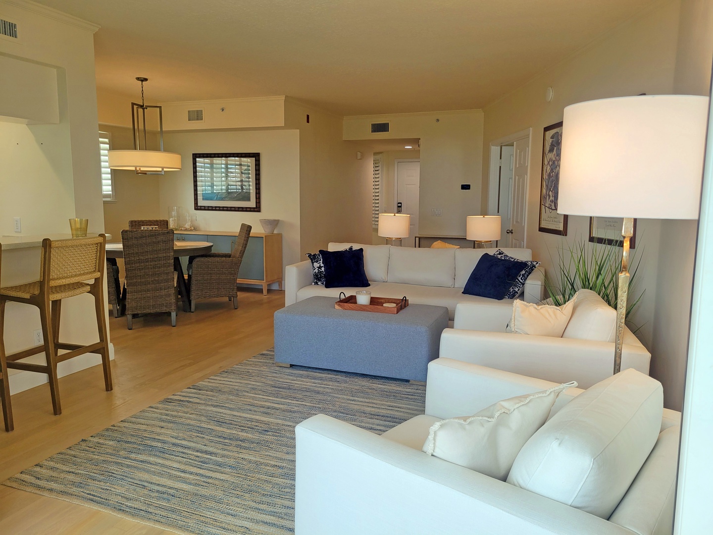 Living Room / Dining Room / Entry Foyer