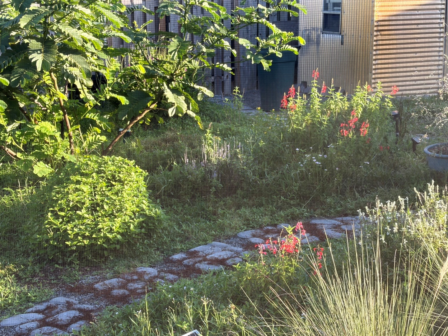 Flowers in the natural setting