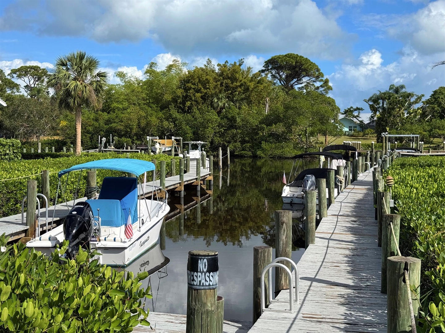 Docks View