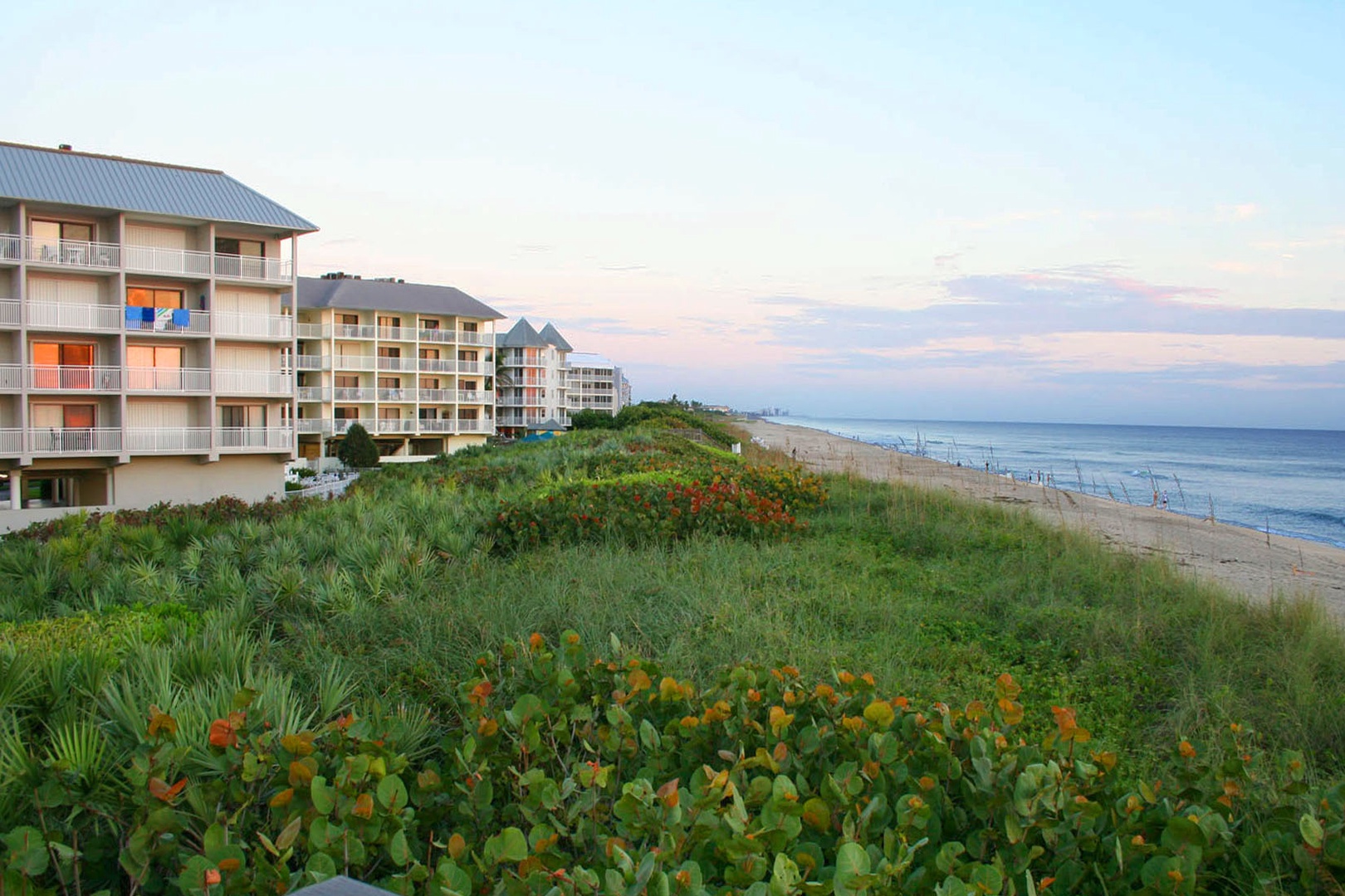 Beach Crossing View of dune line