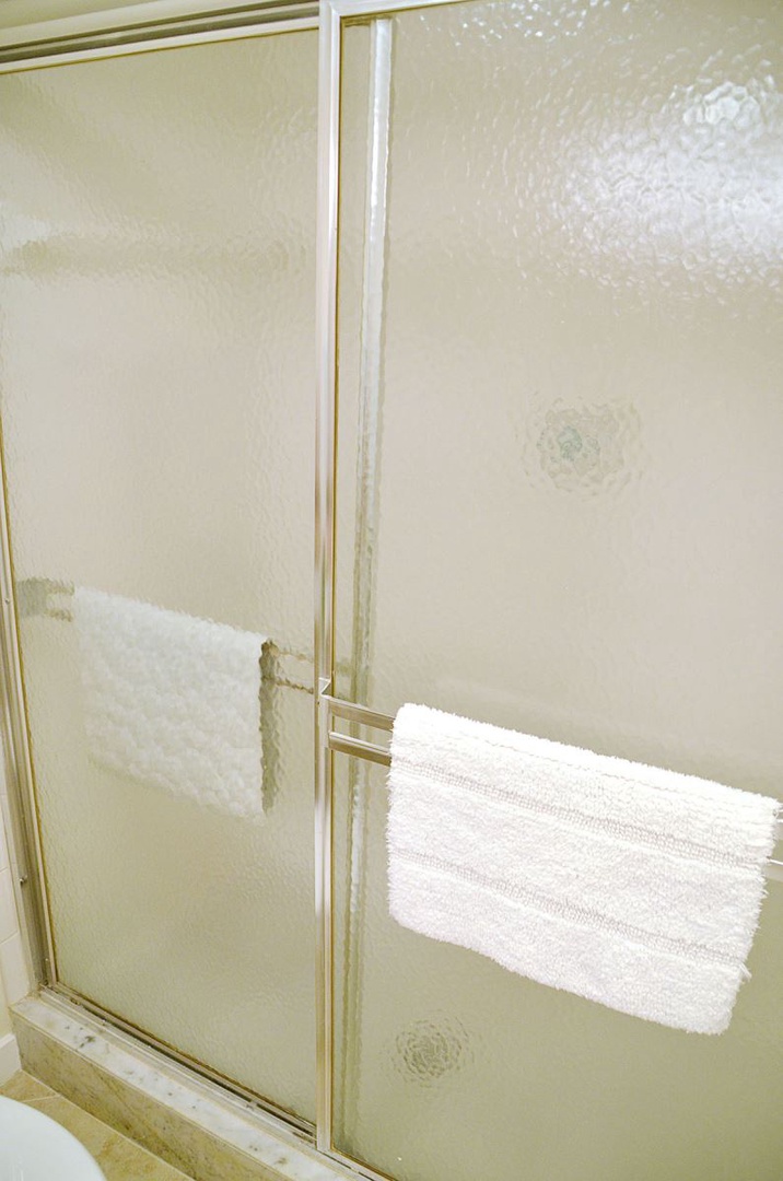 Guest Bathroom Shower