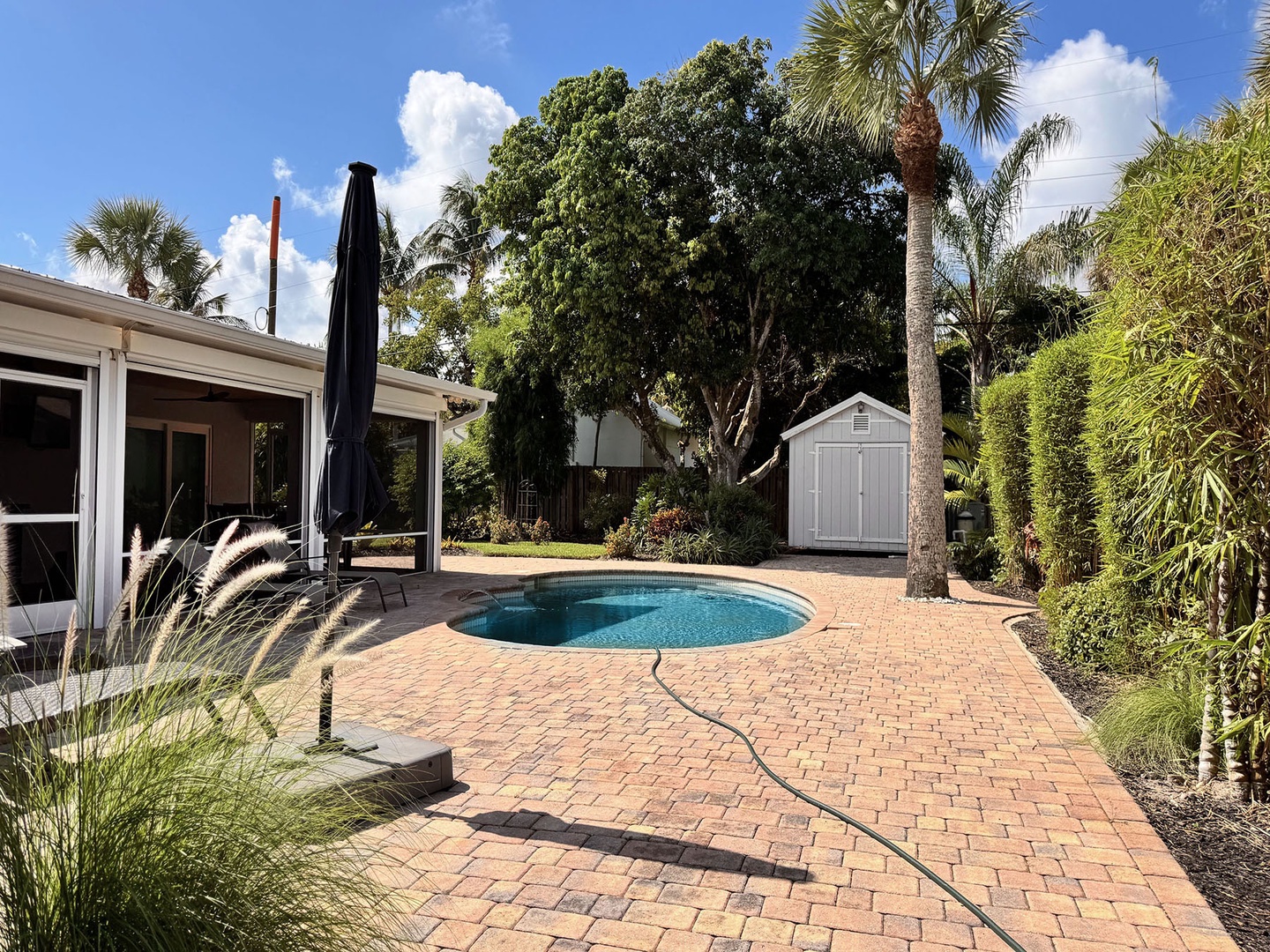 Swimming Pool & sun deck