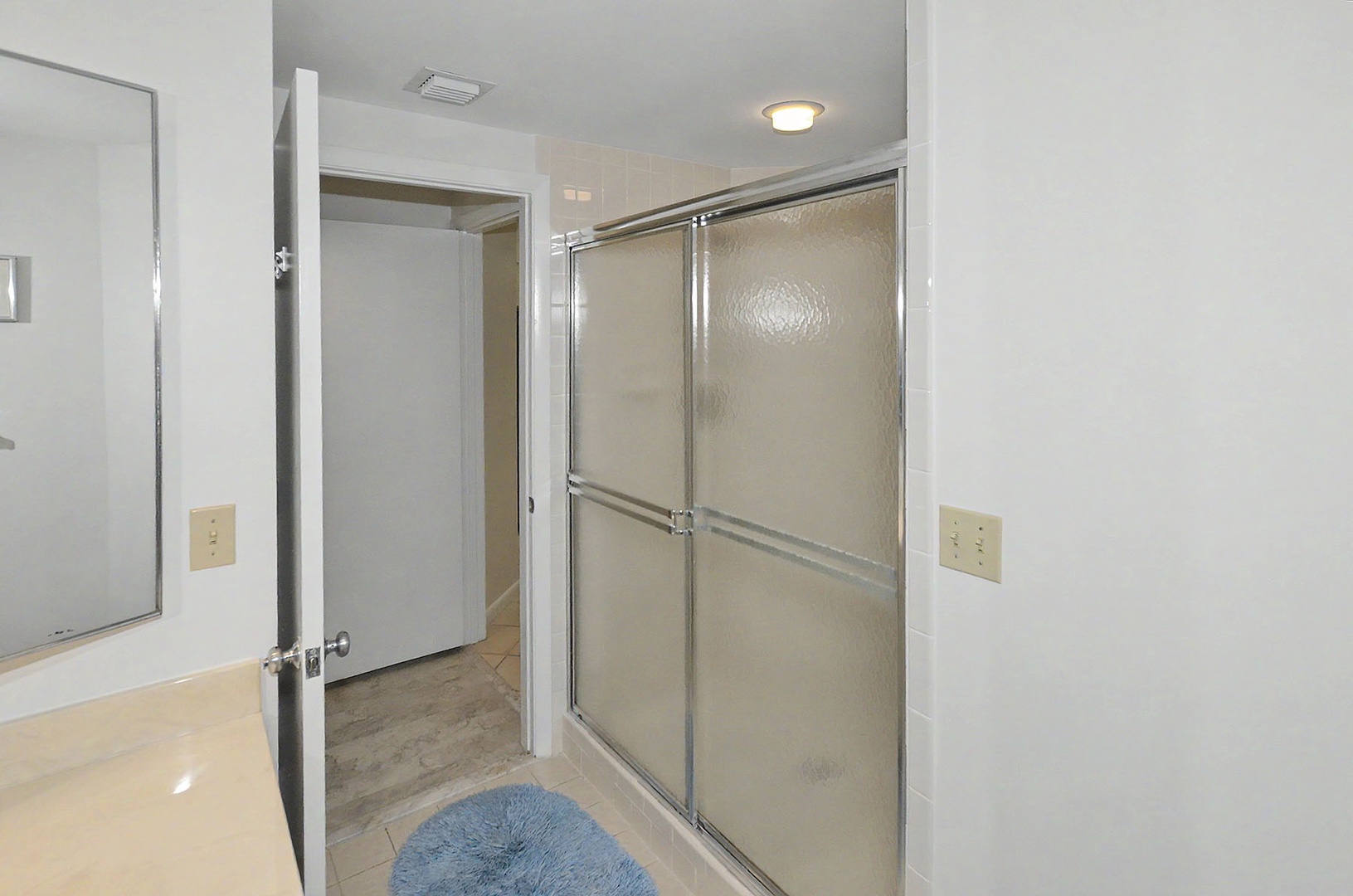 Guest Bathroom walk-in shower