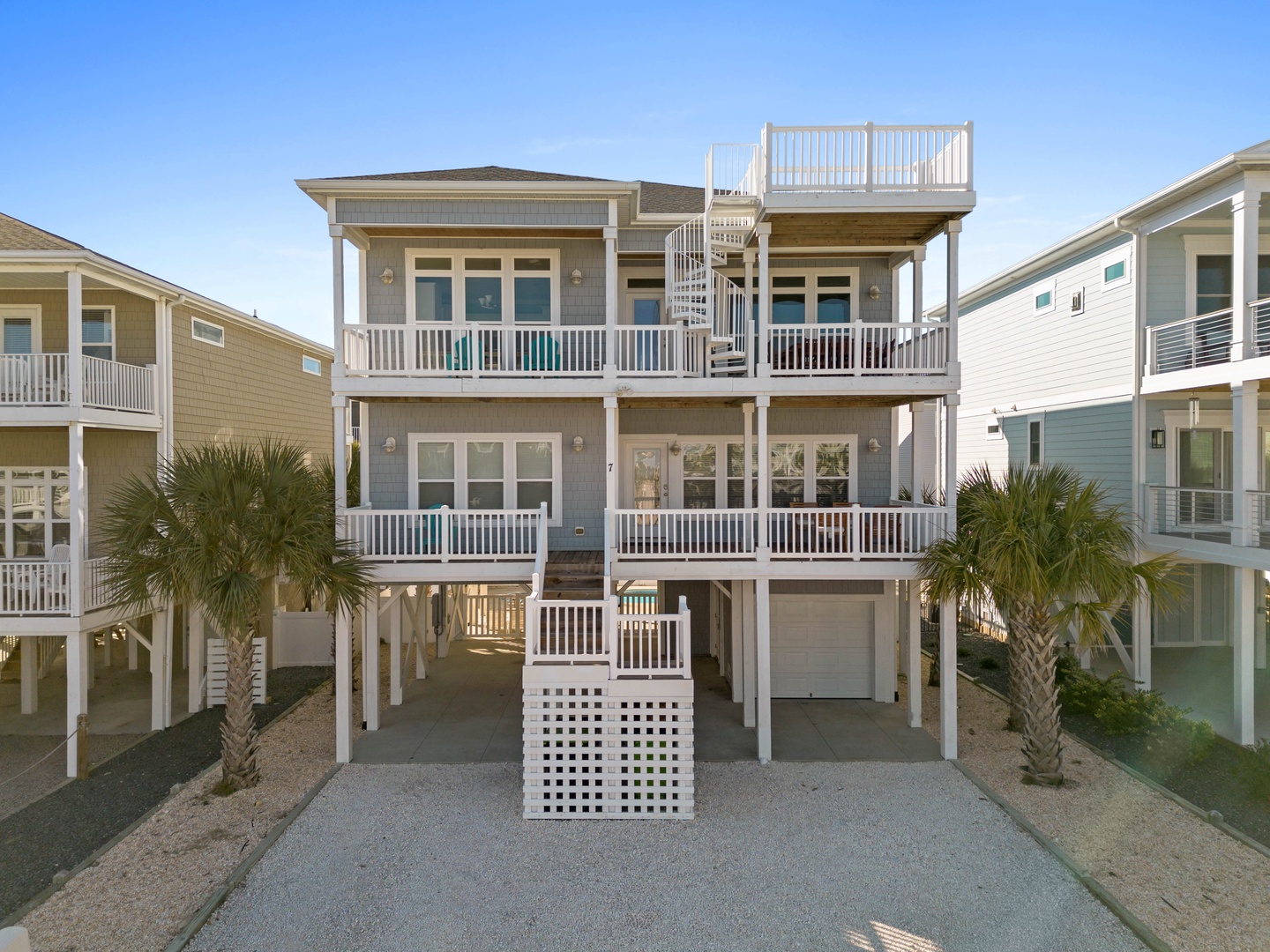 7 Sea Turtle Path