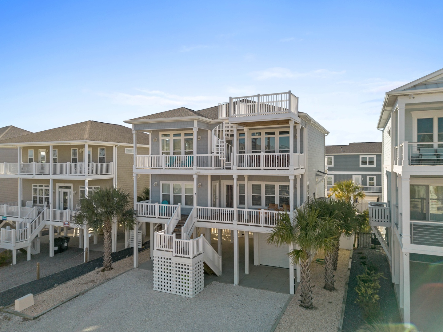 7 Sea Turtle Path