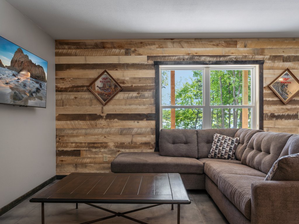 lower level living room