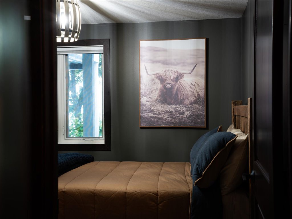 Lower Level Bedroom 2