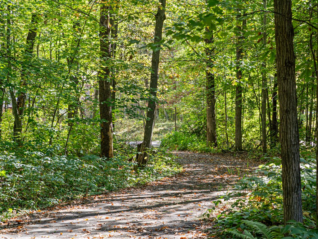 Driveway- Escape to the Lake