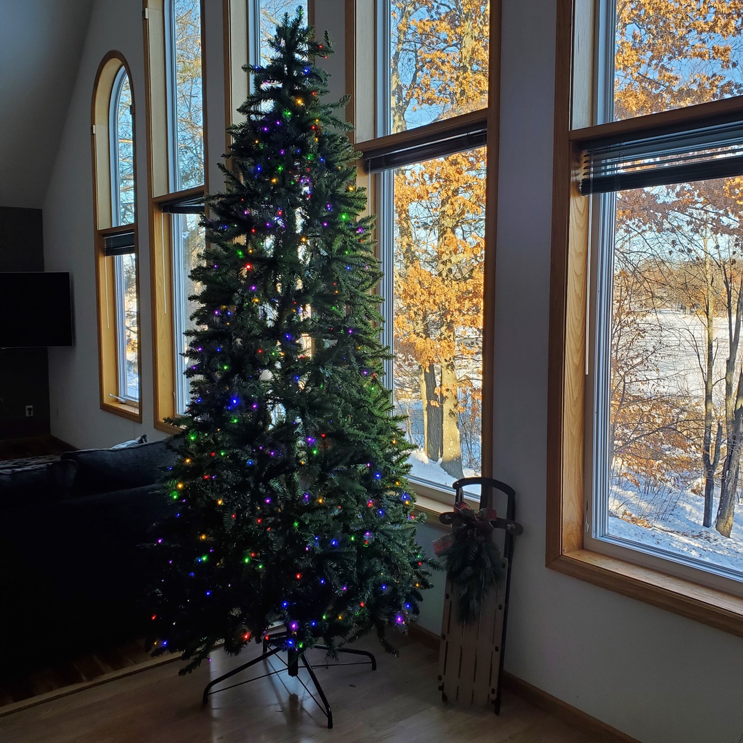 Christmas Tree Dec/Jan stays