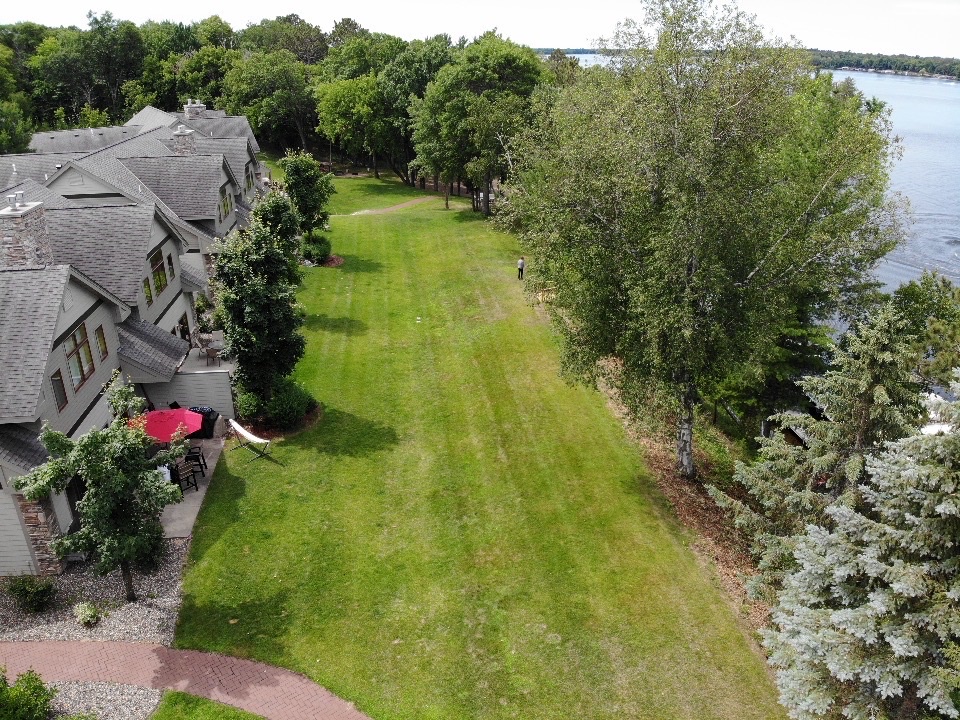 Front Lawn of Property