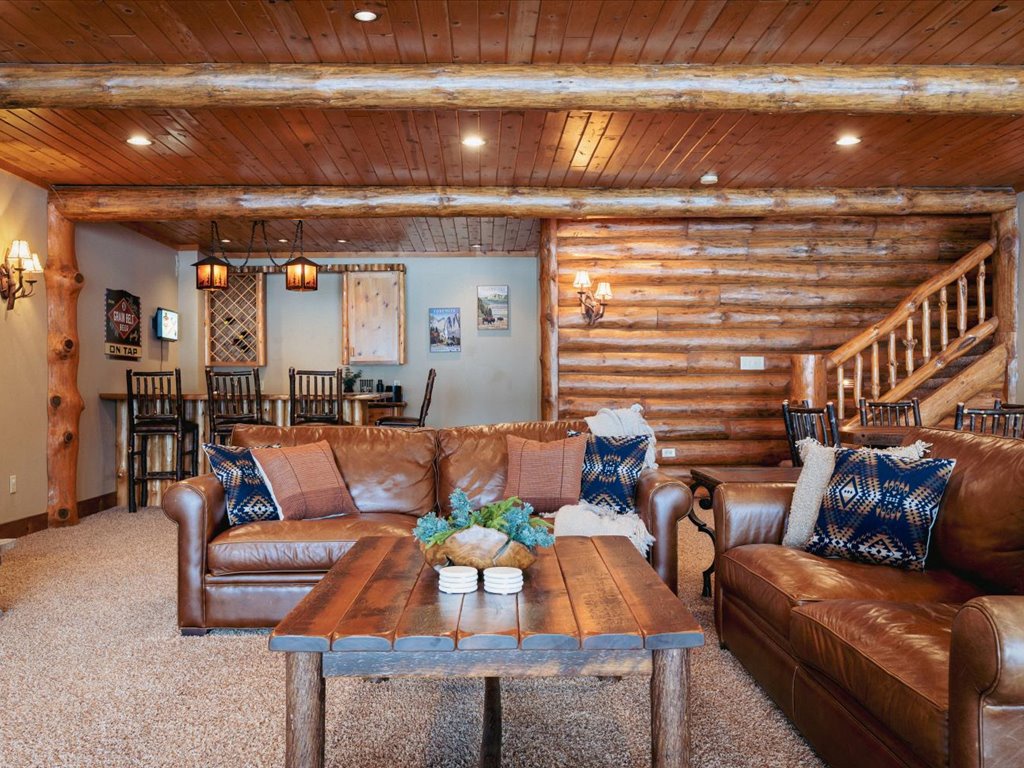 Lower Level Livimg Room