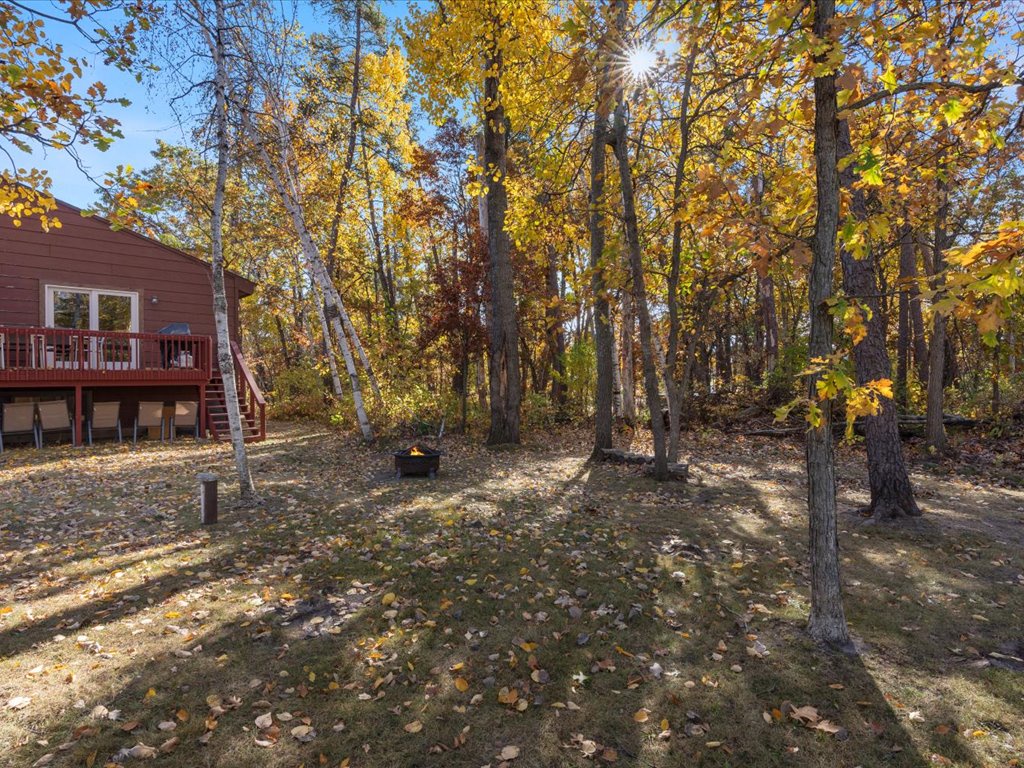 Spacious shared backyard