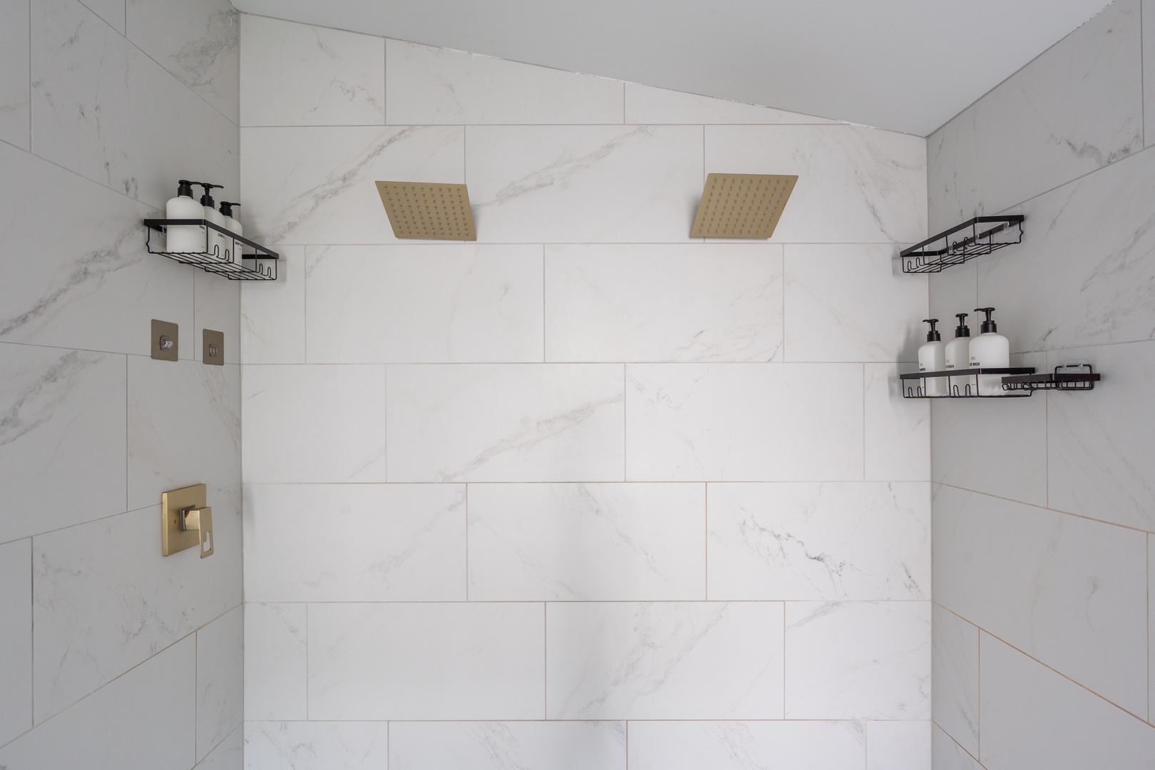 Primary Double Shower