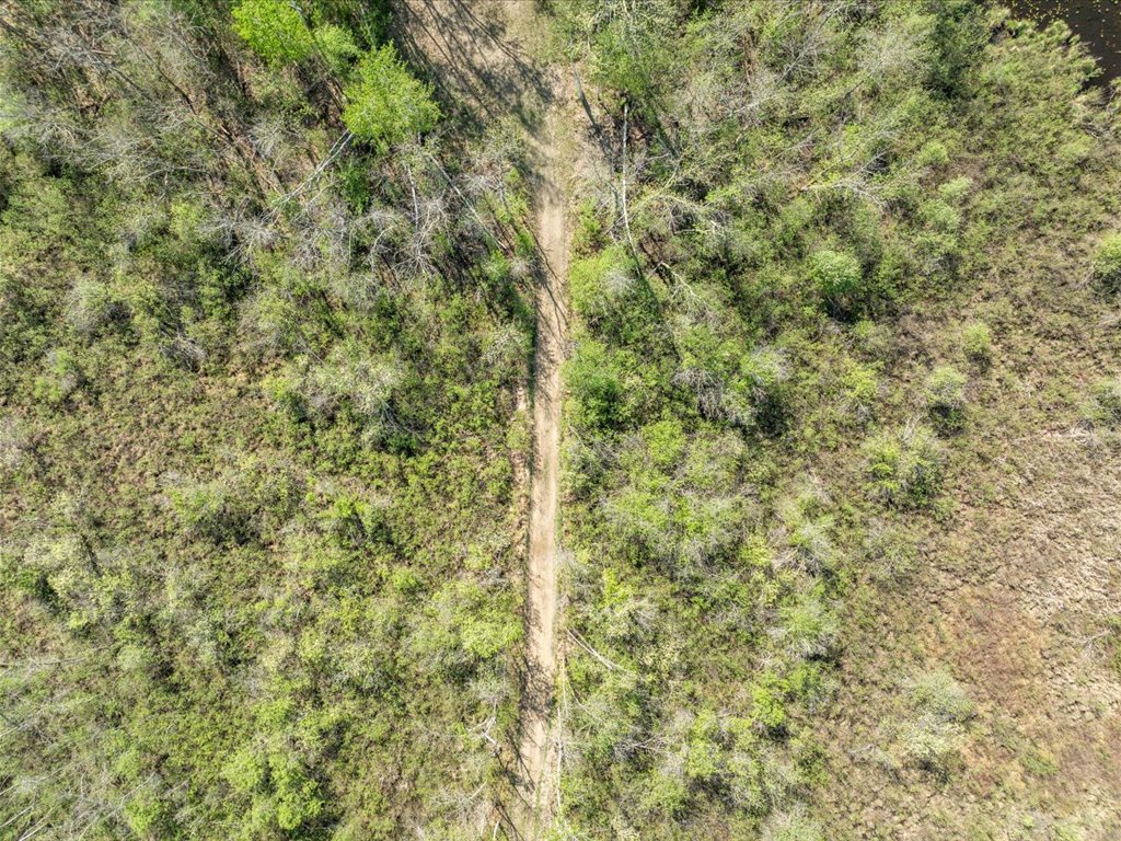 Walking Path from House