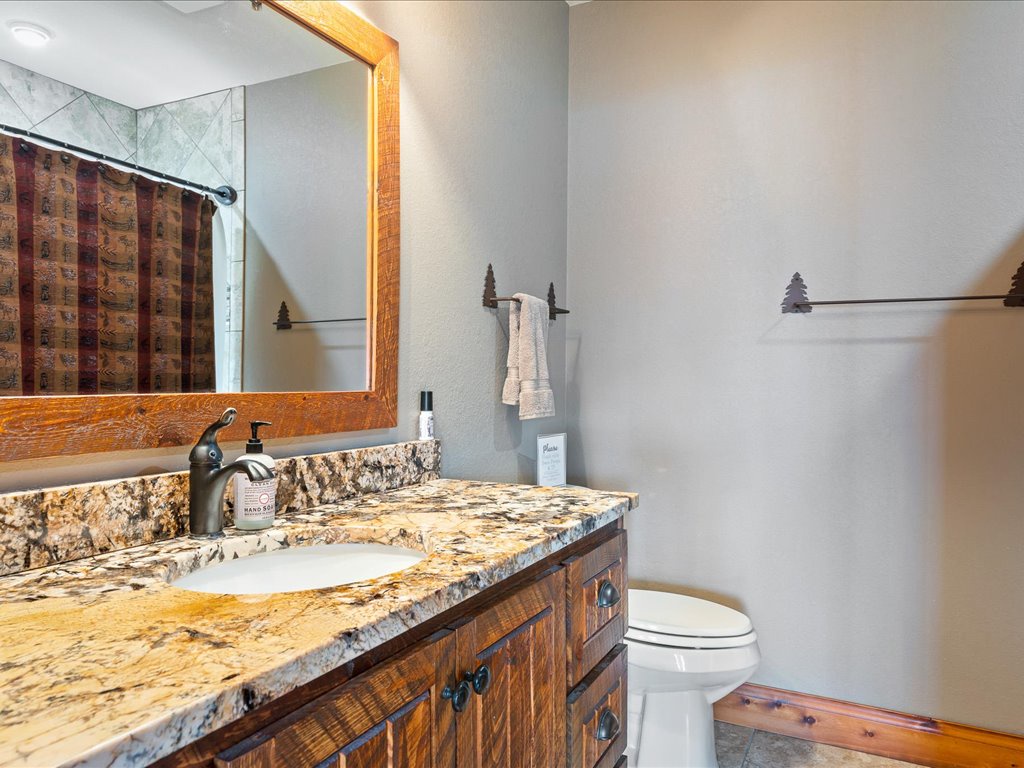 Lower Level Bathroom