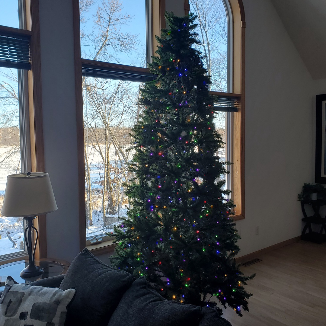 Christmas Tree Dec/Jan stays