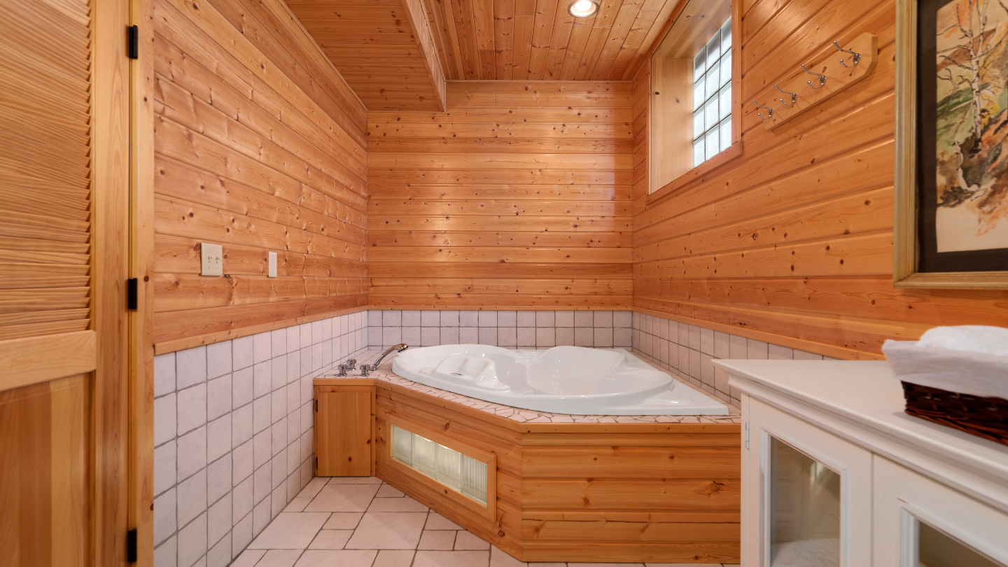 Lower Level Full bathroom with Jacuzzi