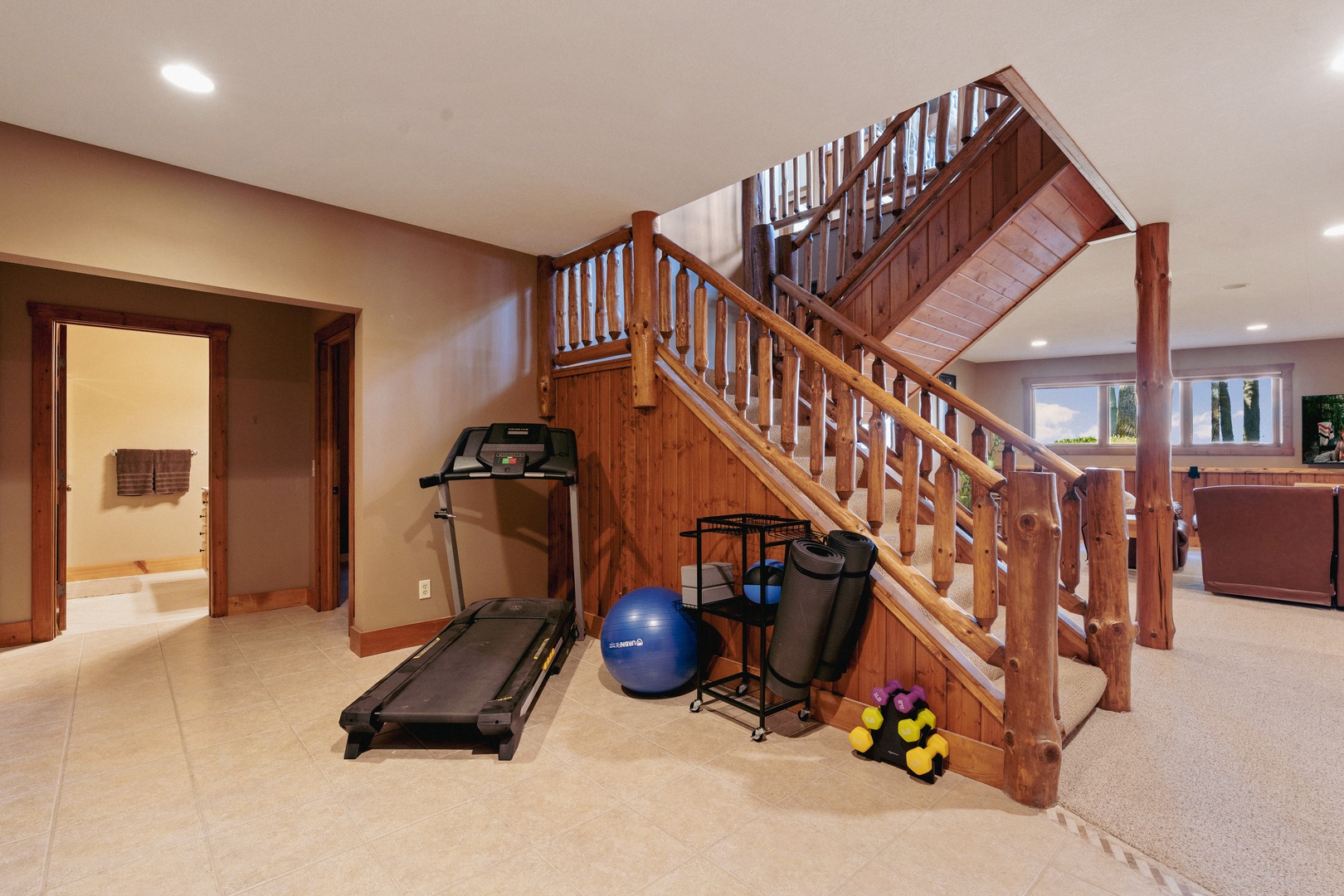 Workout Area: Lower Level