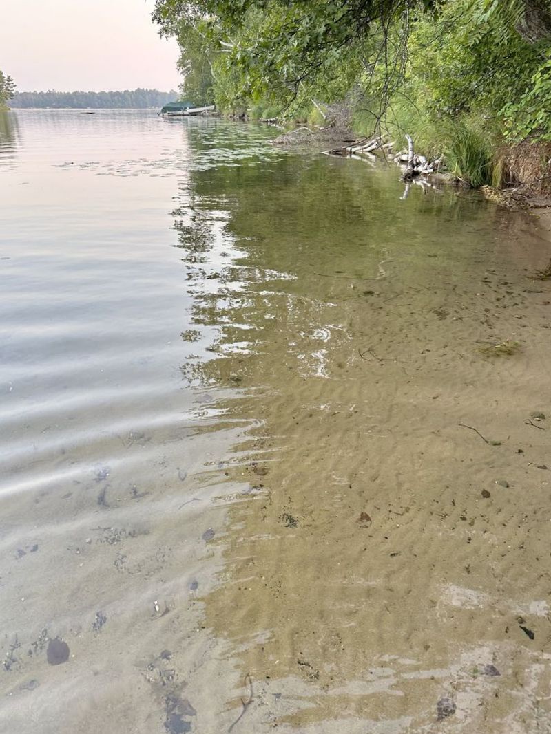 Great Swimming off the Dock
