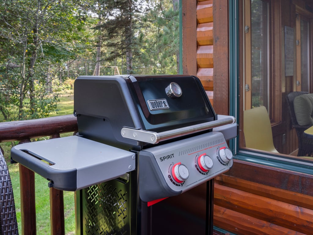 Propane Grill: Propane Provided