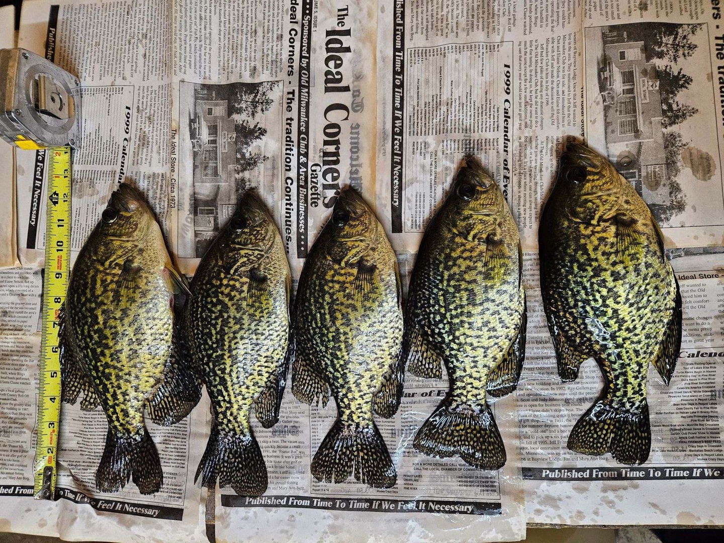 Crappie Fishing on Boy Lake!