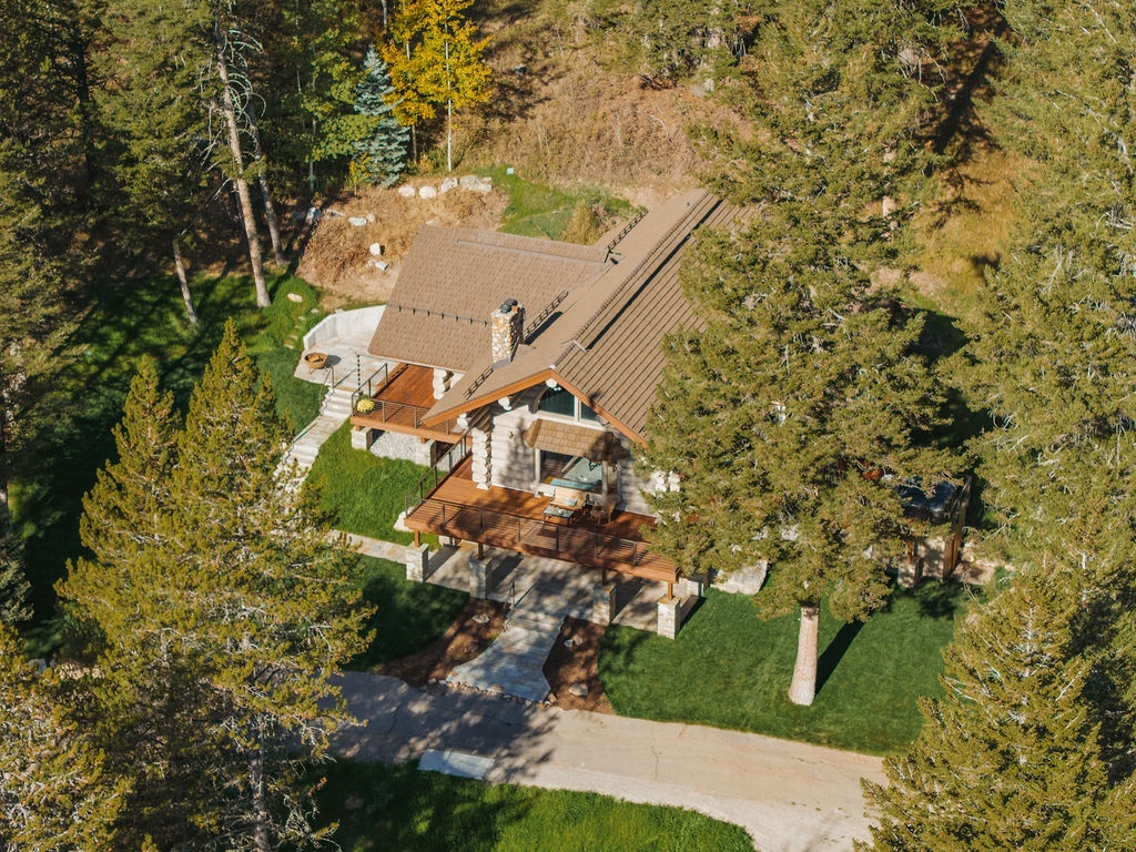 bluebell-cabin-aerial-overhead-forest
