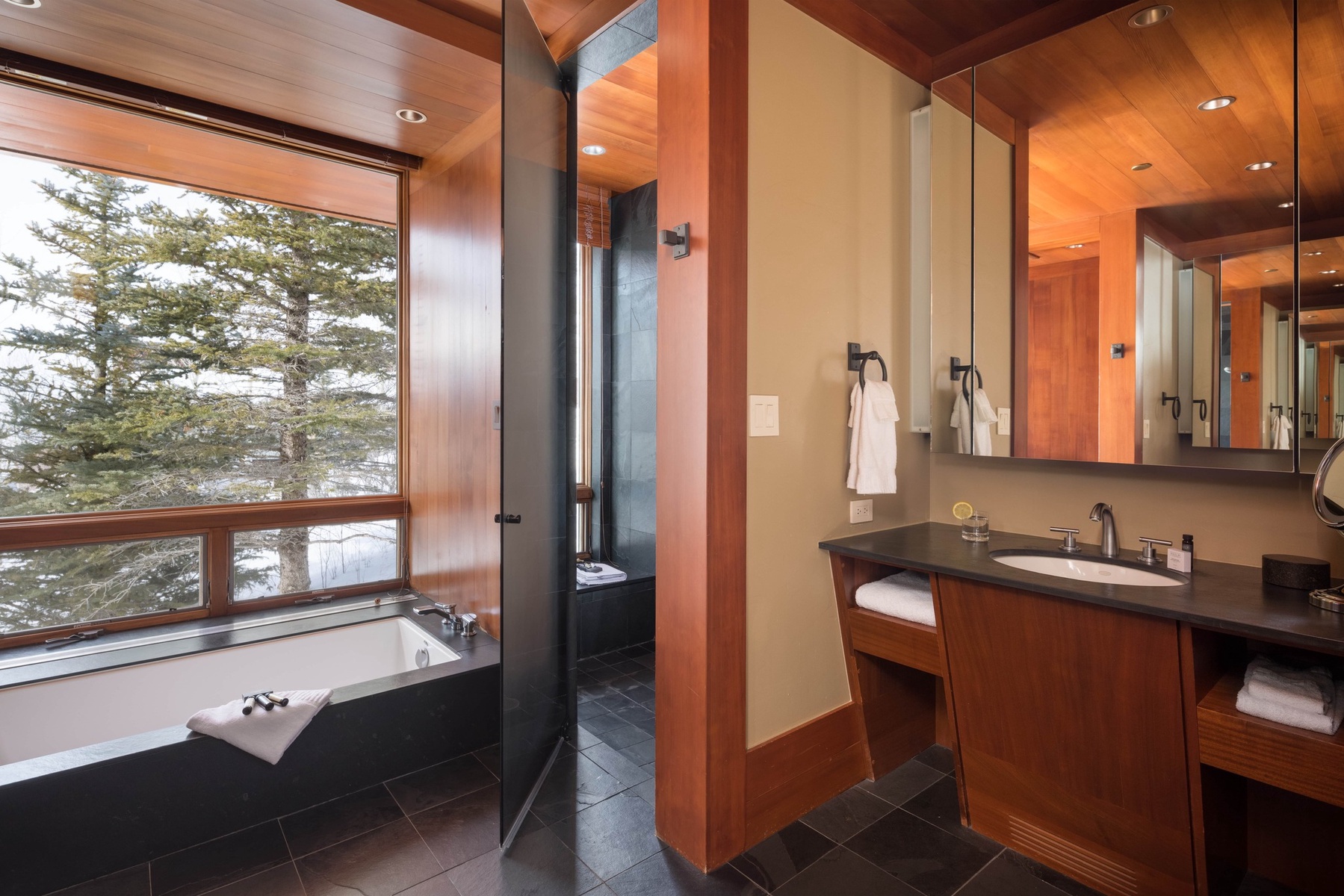 07-the-lookout-primary-bath-soaking-tub