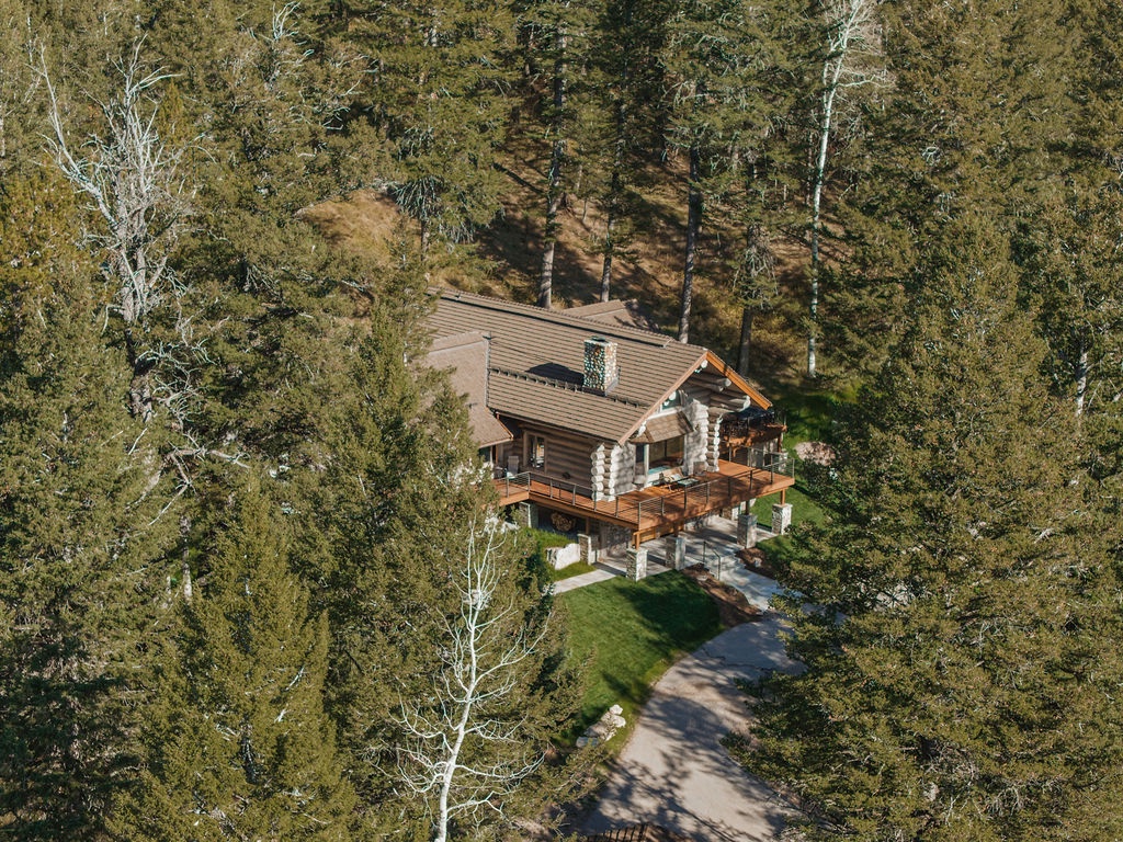 bluebell-cabin-aerial-forest-setting