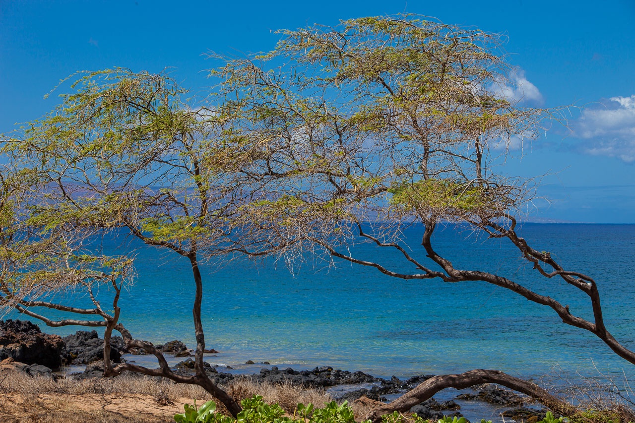 Lazy beach days on one of Kiheis favorites
