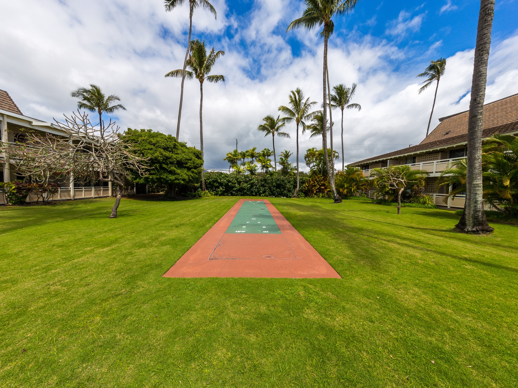 Enjoy shuffleboard with friends.