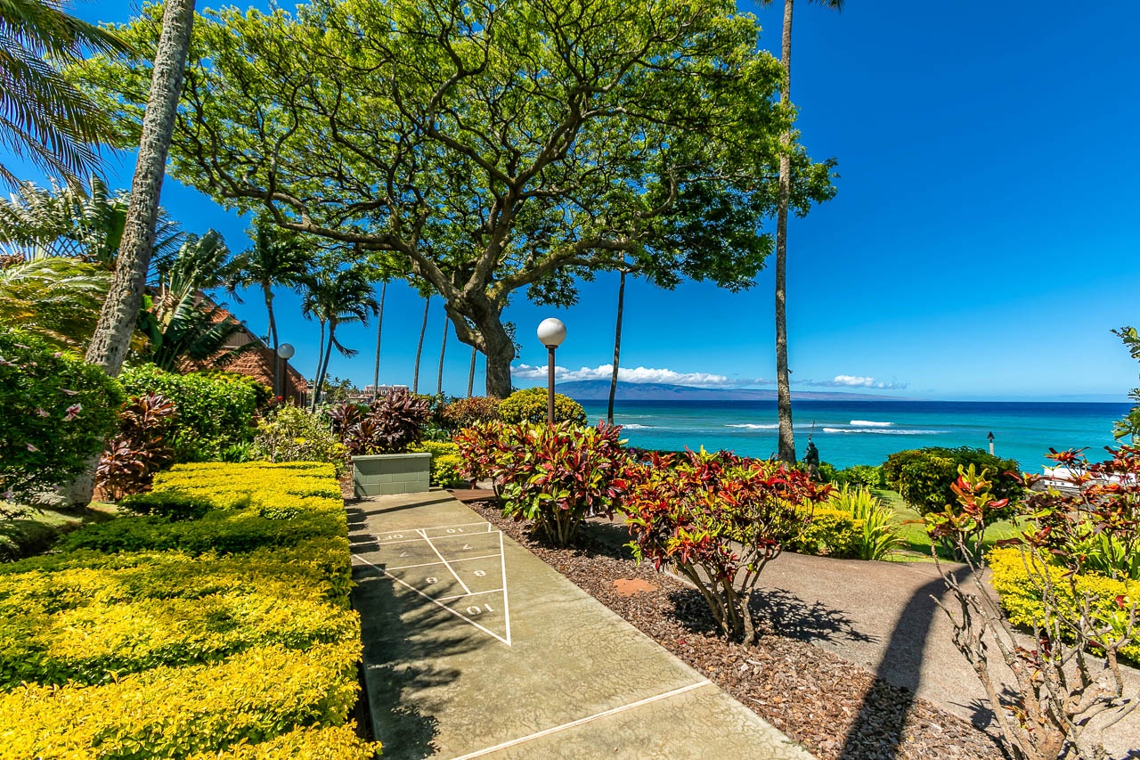 A tropical paradise awaits just steps from the ocean.