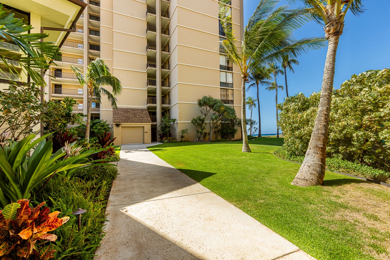 Meandering pathways through vibrant island greenery