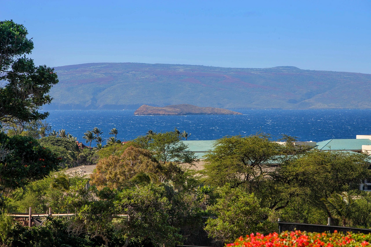 Stunning Molokini crater views framed by Wailea greenery