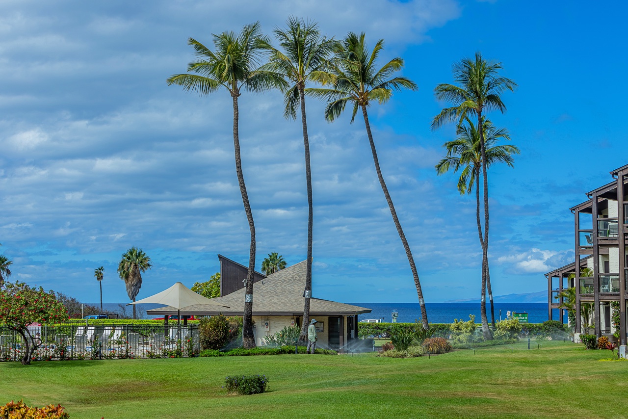 Relax among vibrant gardens and palm filled grounds