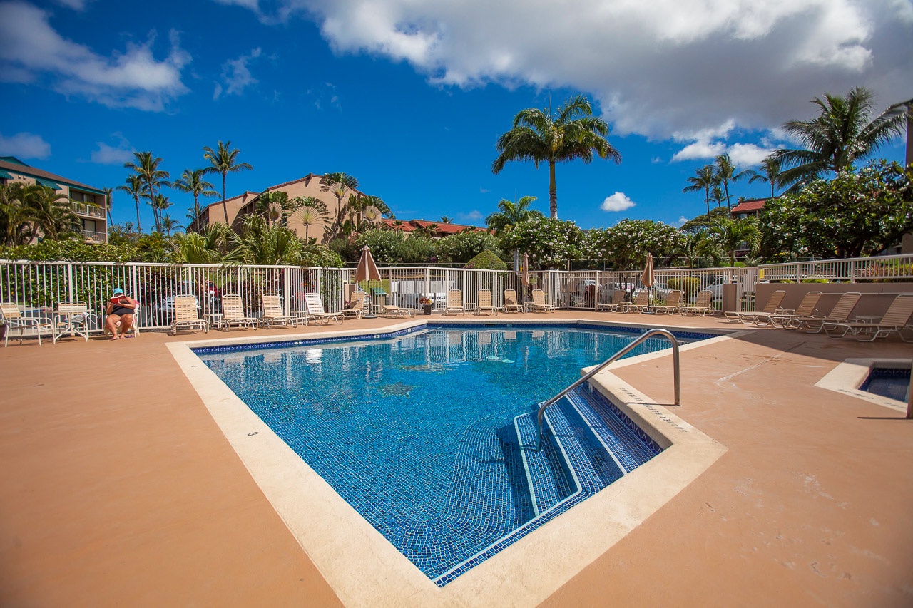 Dive into crystal-clear waters surrounded by tropical paradise. Your perfect pool day awaits with comfortable lounging and swaying palms overhead.