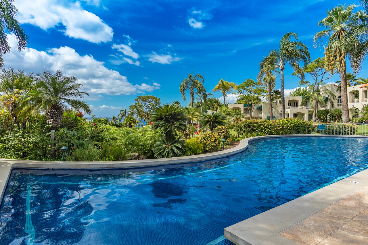 A sparkling pool winds through lush tropical gardens, inviting you to cool off under swaying palms and brilliant blue skies.