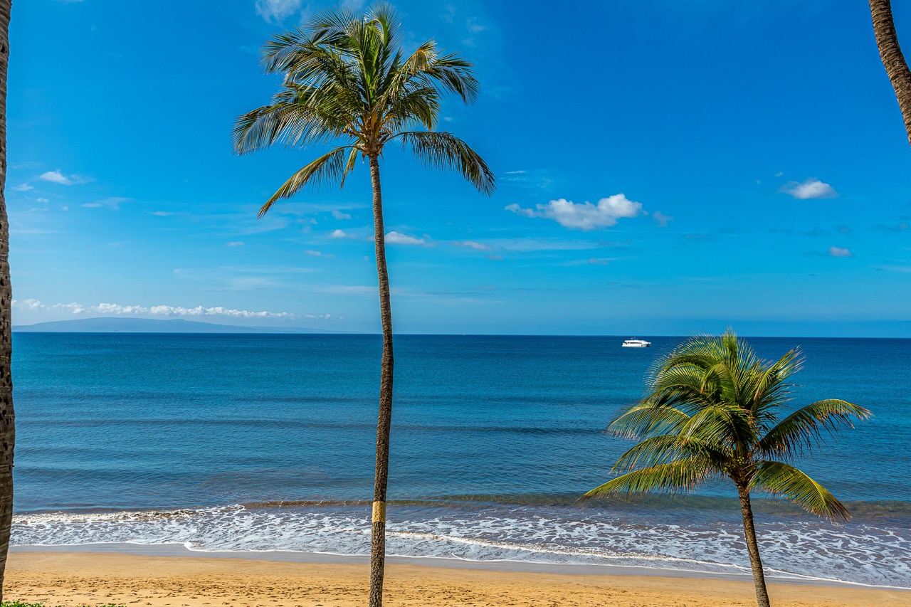 Watch spectacular sunsets over the Pacific horizon
