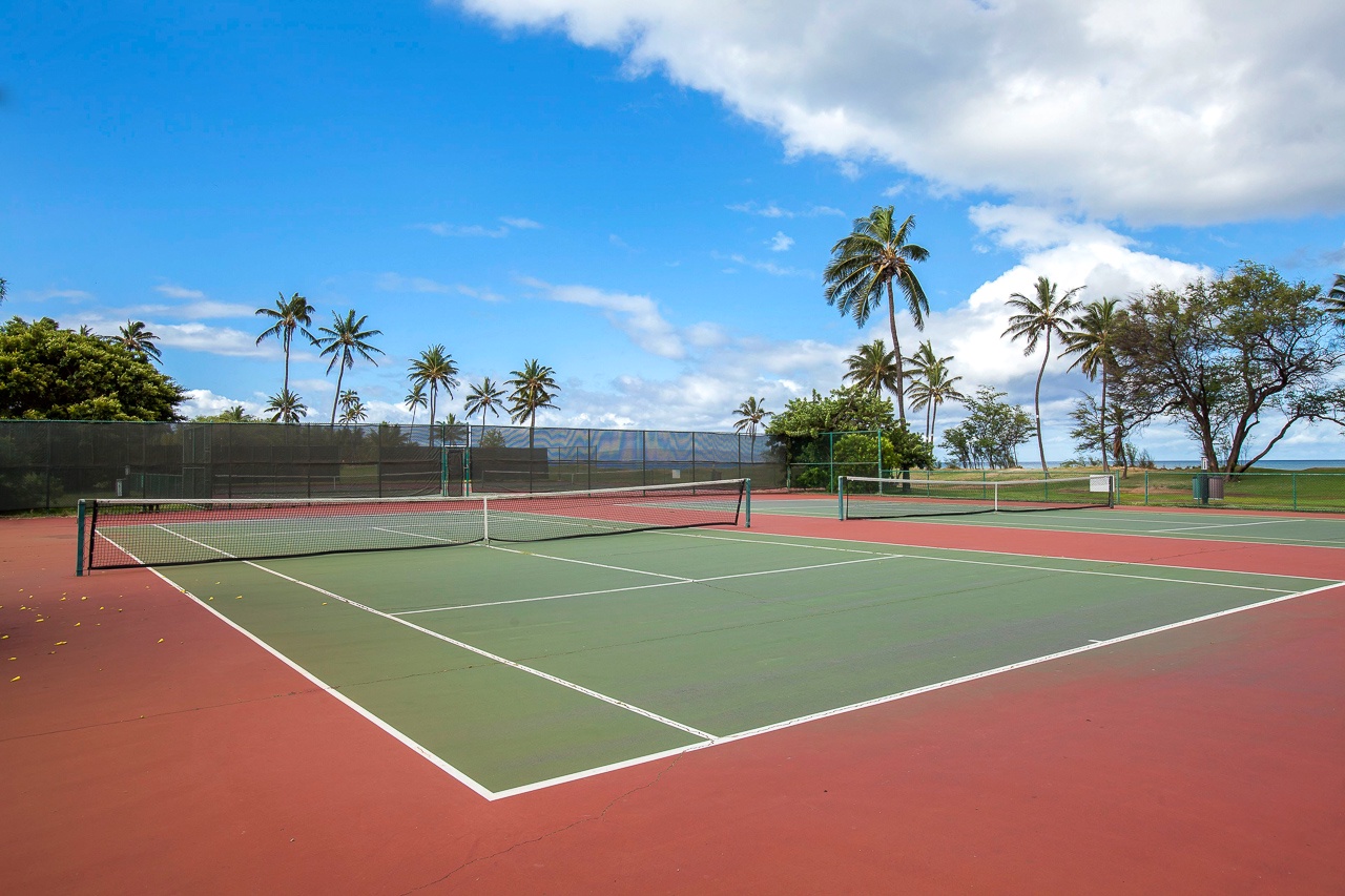 Four courts available for tennis and pickle