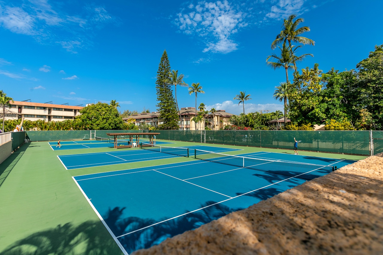 Multiple tennis courts await beneath swaying palms and brilliant blue skies, offering the perfect setting for your match or practice session.