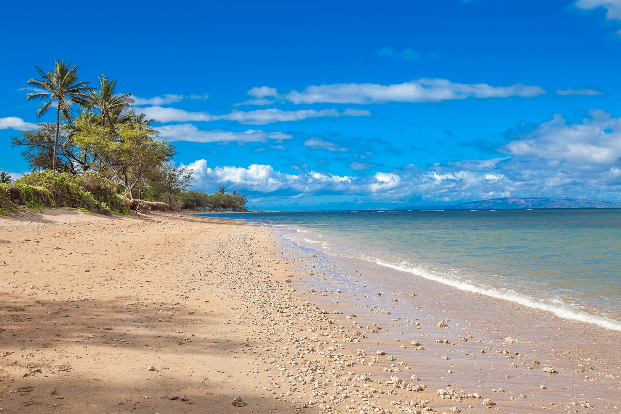 Beach day fun! Swim~ snorkel~ take a stroll~ make Maui memories