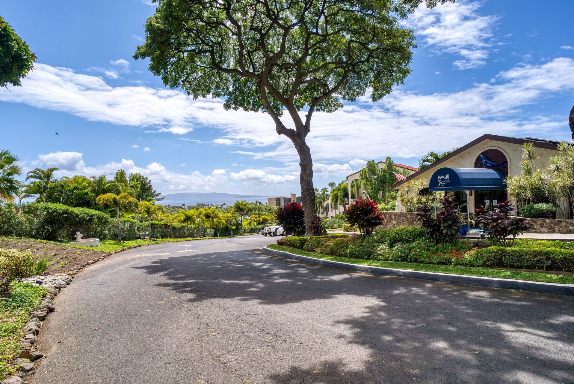 Driveway approaching Maui Hill