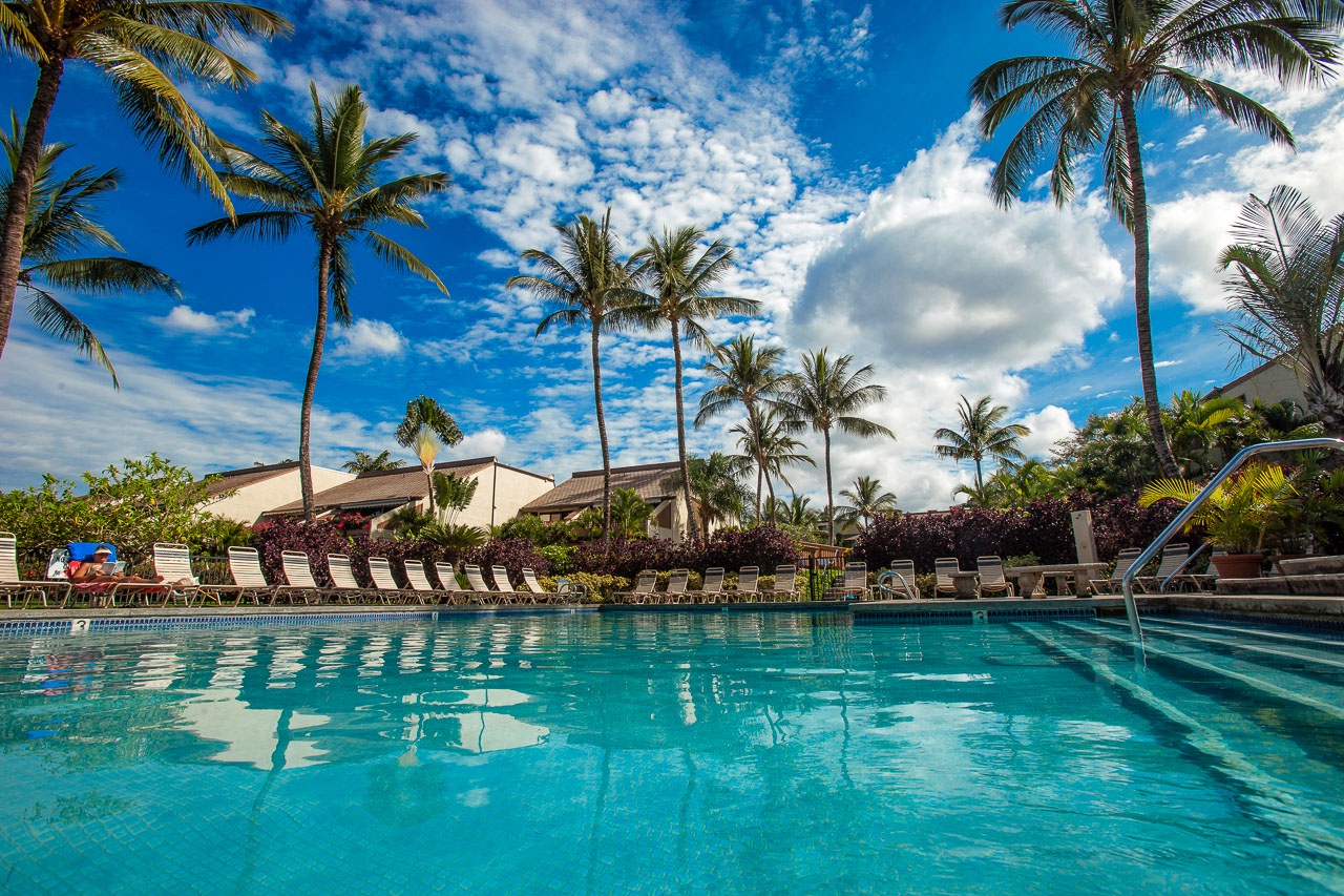 Crystal-clear pool surrounded by swaying palms and tropical landscaping under brilliant blue skies.