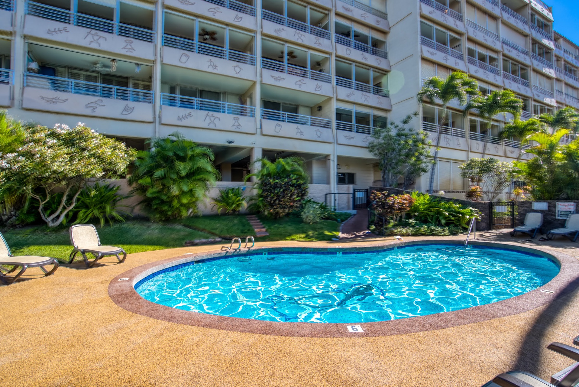 A sparkling kidney-shaped pool awaits, surrounded by lush tropical palms and sunbeds, perfect for your sunny afternoon dip and relaxation.