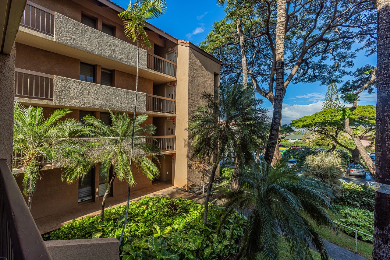 Island mornings and sunset wind-downs happen here