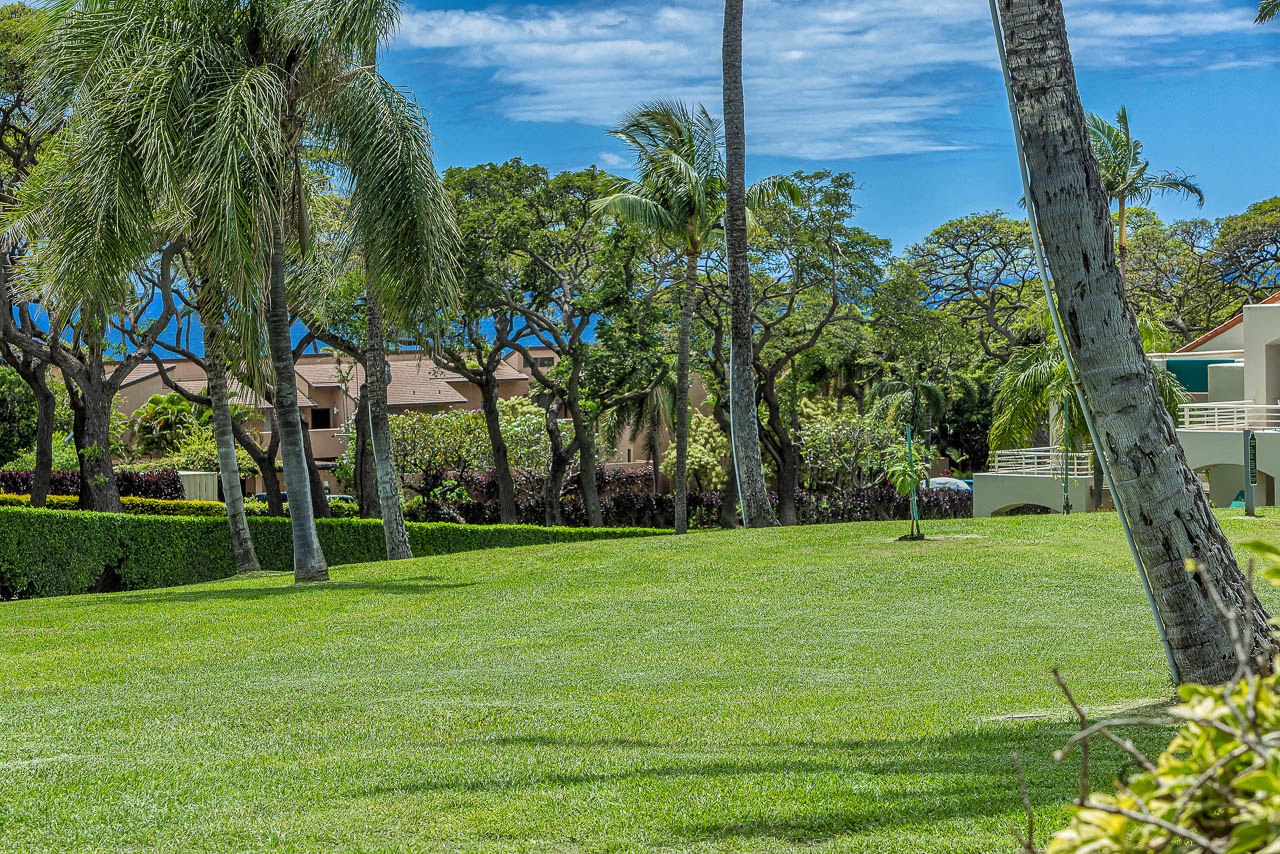 A lush, manicured lawn surrounded by tropical palms and mature trees creates a serene garden setting framing the property buildings in a peaceful residential enclave.